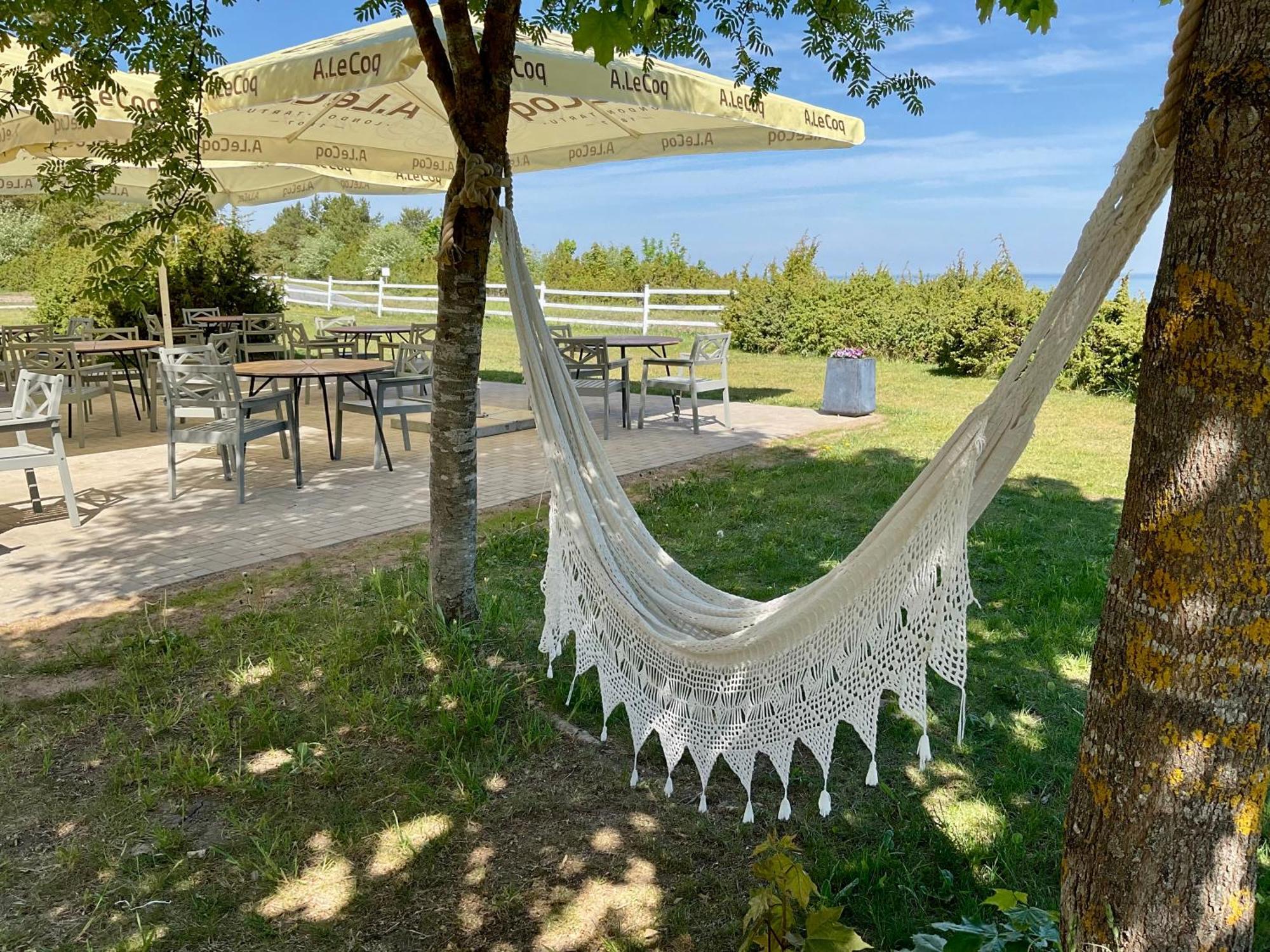 Kliff Butiik Majutus & Restoran Hotel Panga Eksteriør billede